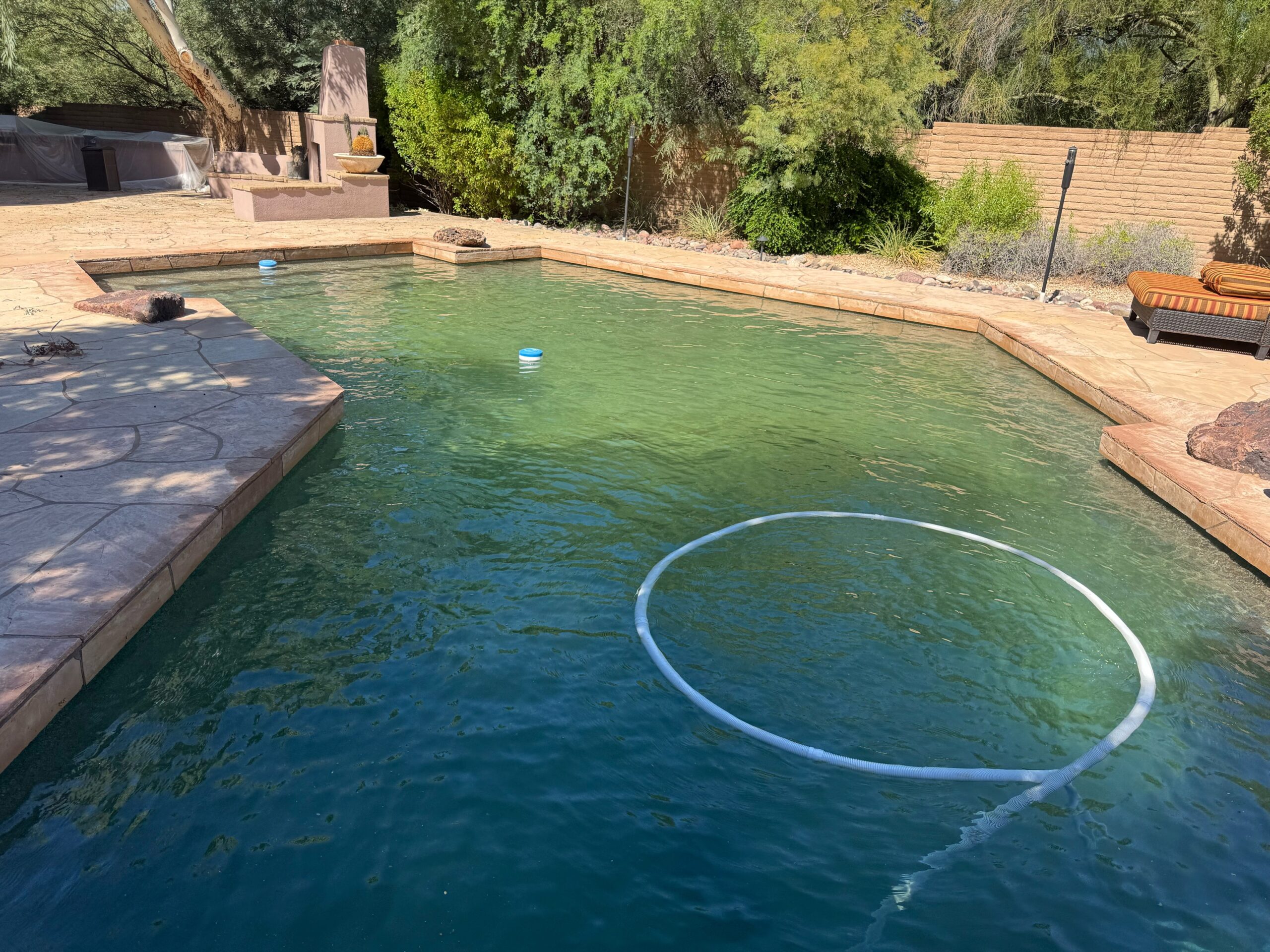 Backyard swimming pool with stone deck, green water, and a beige lounge chair setup along the right; trees and a brick wall in the background.
