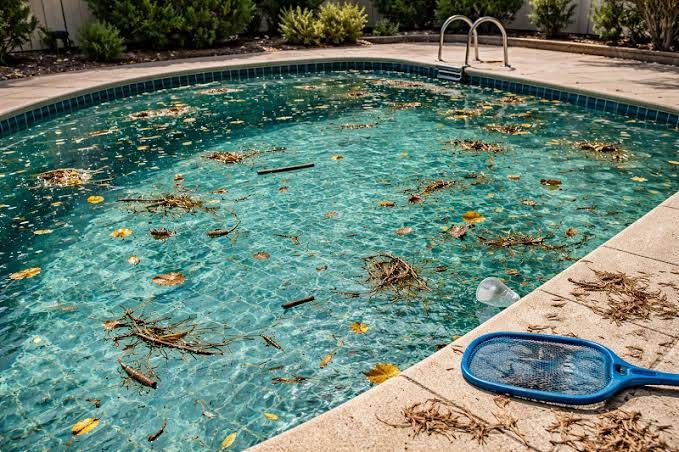 Pool full of leaves and debris after a monsoon storm in Cave Creek