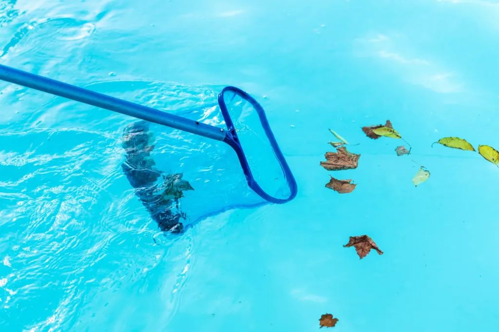 Skimming leaves out of a pool after a monsoon storm in Cave Creek